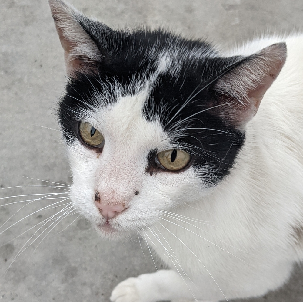 Meet your Posher, Mayy